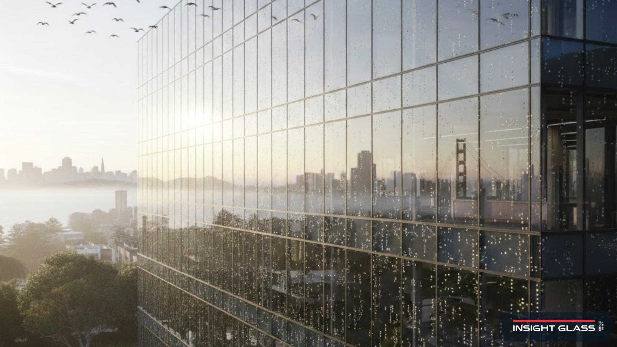 Bird Protective Windows Bird Safe Windows for Bay Area Homes and Buildings