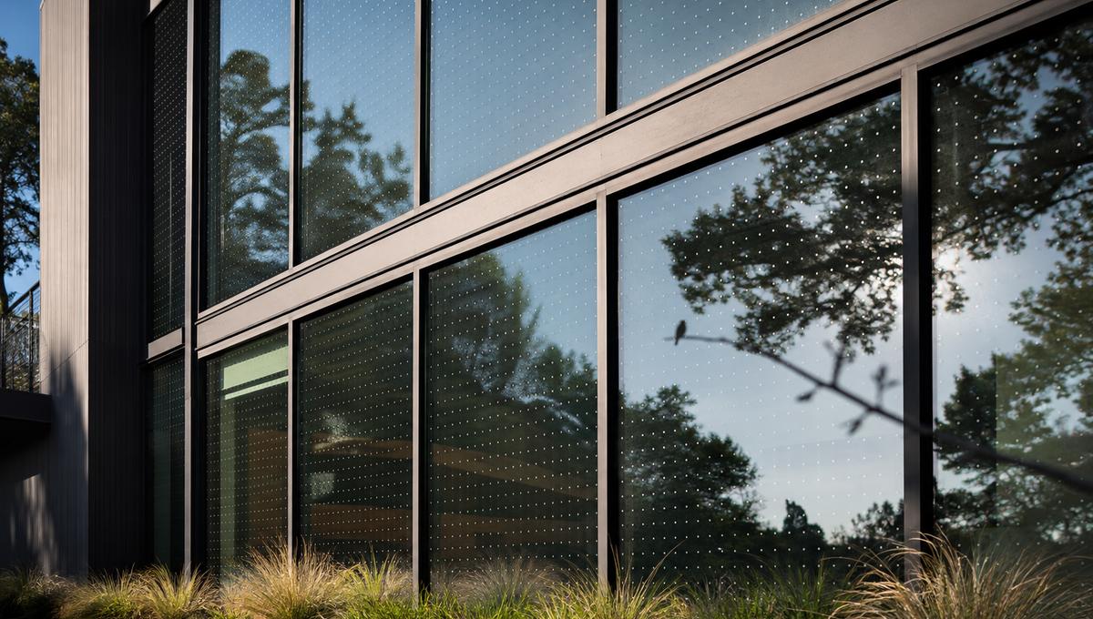 Bird-safe fritted glass windows reflecting trees on a Bay Area building